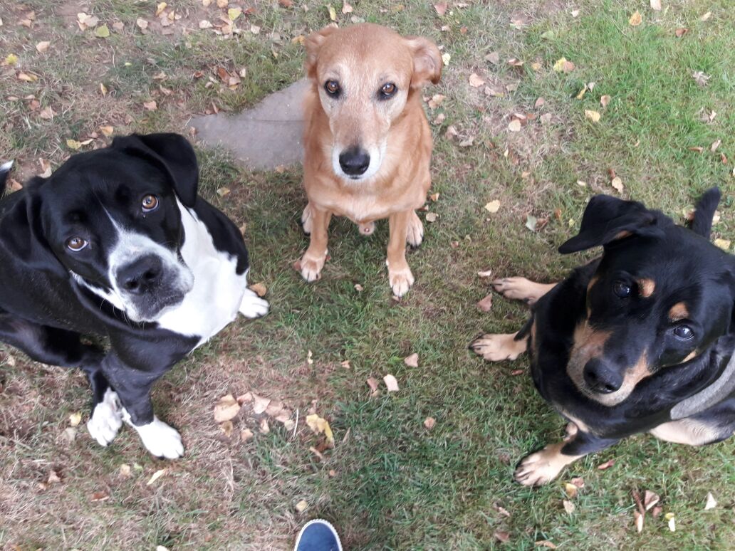 Epilepsie/Krämpfe mit Homöopathie behandelbar